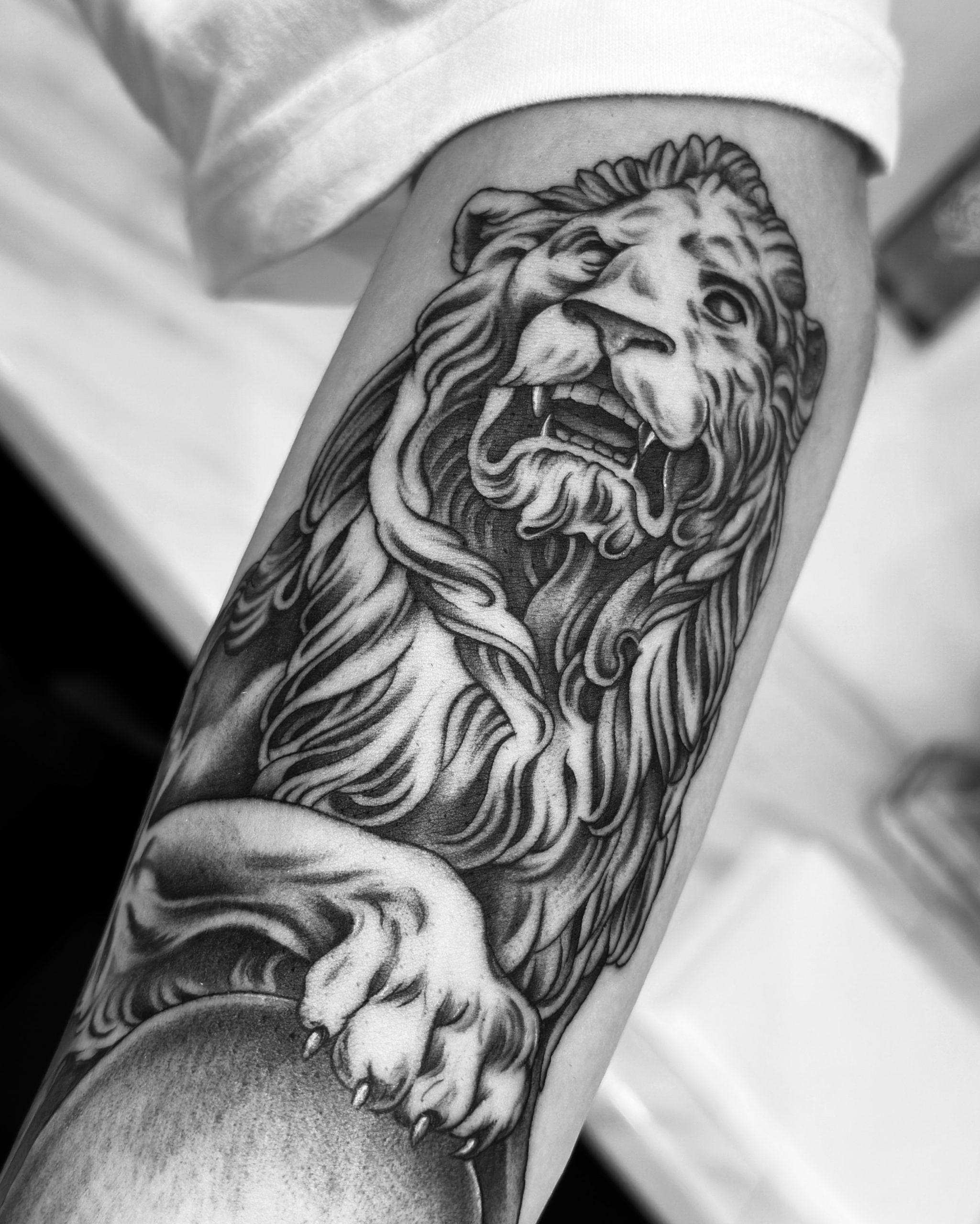 EFD6D6BB-269A-499B-8E14-E335CA9D75E5